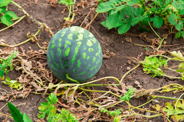 Similar image 5486302