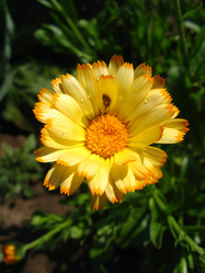 Similar image 5486327