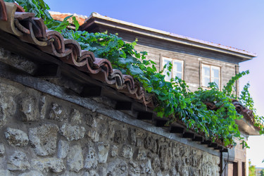 Similar image 5486338