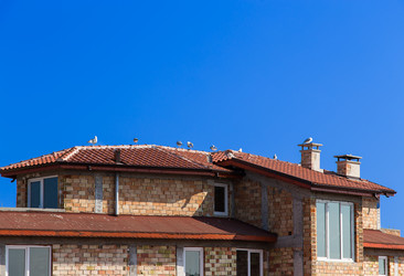 Similar image 5486341