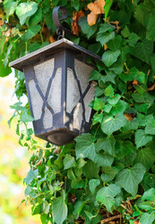 Similar image 5486384