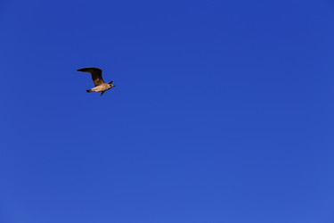 Similar image 5486390