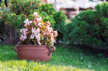 Similar image 5486402