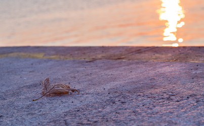 Similar image 5486419