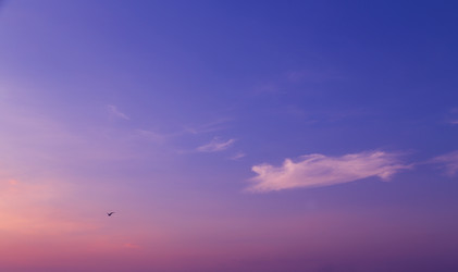 Similar image 5486427