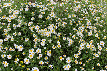 Similar image 5486455