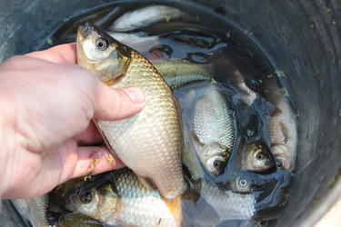 Similar image 5486463