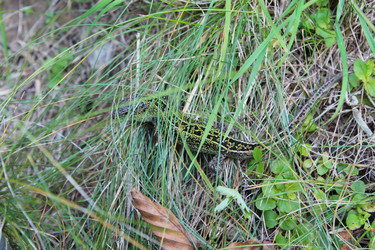 Similar image 5486498