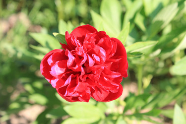 Similar image 5486516