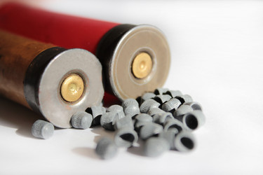 Similar image 5486530