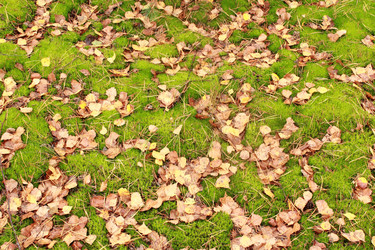 Similar image 5486545