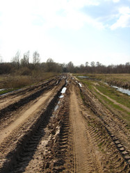 Similar image 5486546