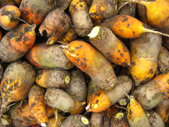 Similar image 5486570