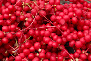 Similar image 5486593