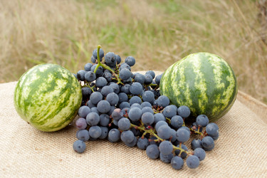 Similar image 5486597