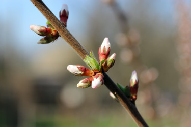 Similar image 5486605