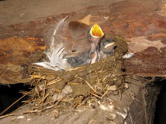 Similar image 5486609