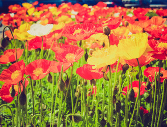 Similar image 5486729