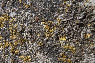 Similar image 5486889