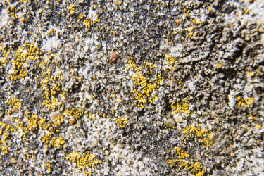 Similar image 5486890