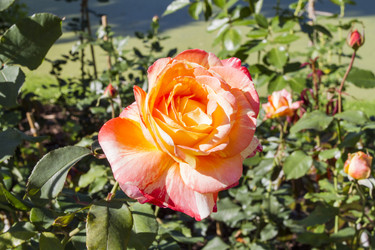 Similar image 5486936