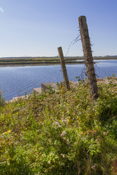 Similar image 5486953