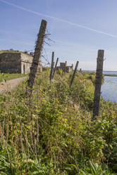 Similar image 5486954