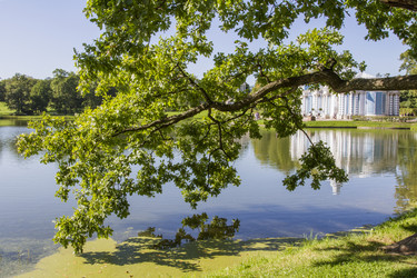 Similar image 5486972