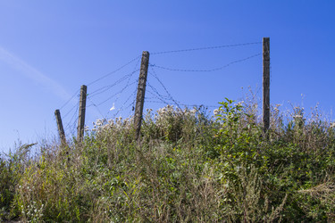 Similar image 5486973