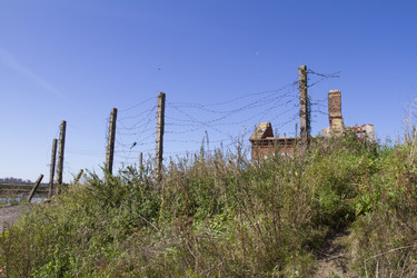 Similar image 5486974