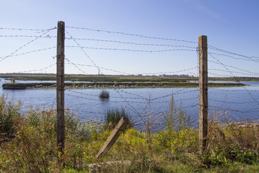 Similar image 5486978