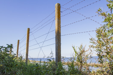 Similar image 5486982