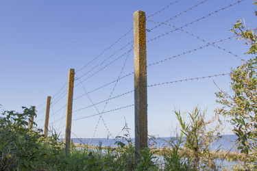 Similar image 5486990