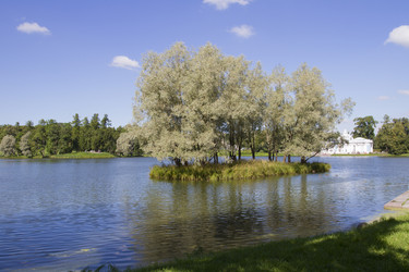 Similar image 5487025