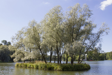 Similar image 5487028