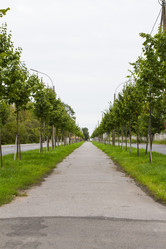 Similar image 5487044