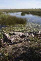 Similar image 5487056