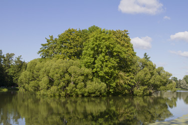 Similar image 5487057