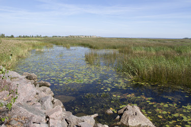 Similar image 5487058