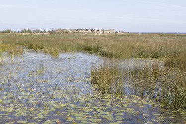 Similar image 5487060