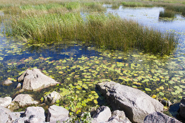 Similar image 5487063