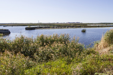 Similar image 5487070