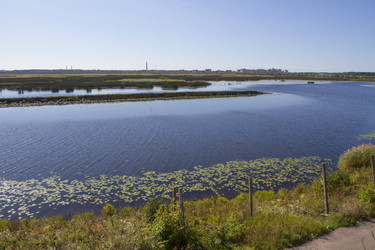 Similar image 5487072