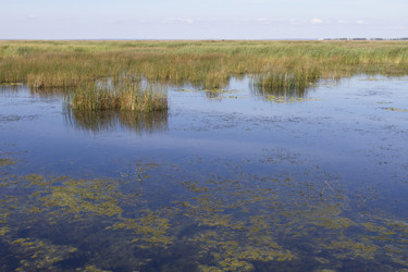 Similar image 5487099