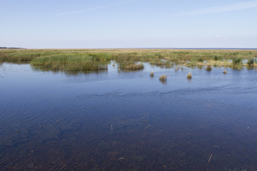 Similar image 5487106