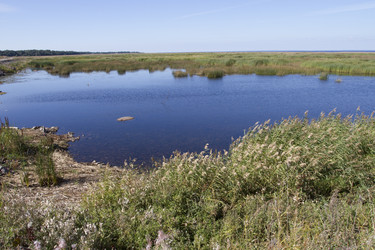 Similar image 5487110