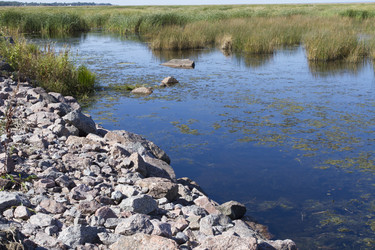 Similar image 5487112