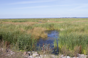 Similar image 5487121