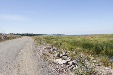 Similar image 5487124