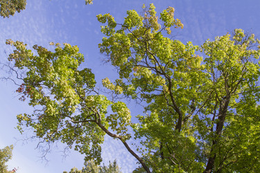 Similar image 5487131